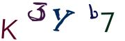 Obrázkové CAPTCHA