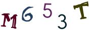 Obrázkové CAPTCHA