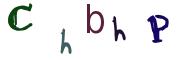Obrázkové CAPTCHA